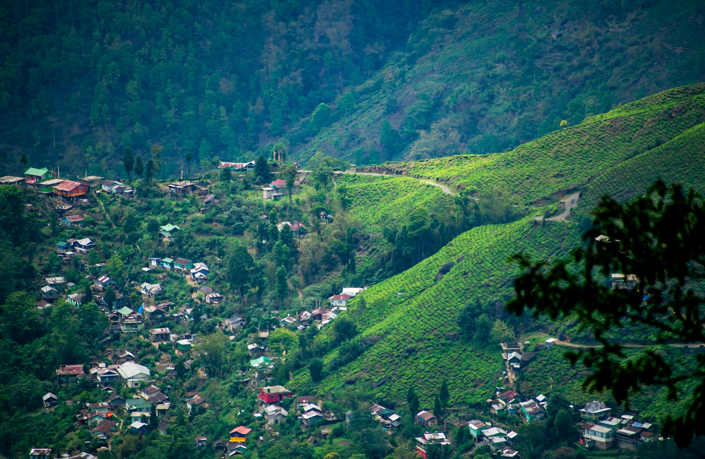 Beautiful scenery near Latpanchar Crotonleaf Homestay